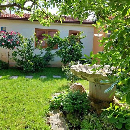 Adriatic Apartments Nada Fažana Eksteriør bilde